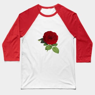 Red Rose Baseball T-Shirt